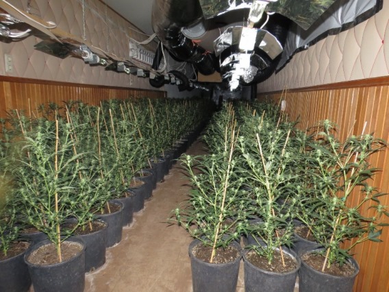 plantageraum3