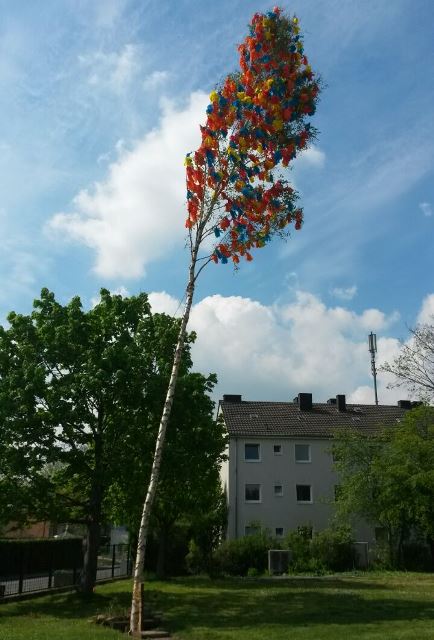 Maibaum Rölsdorf