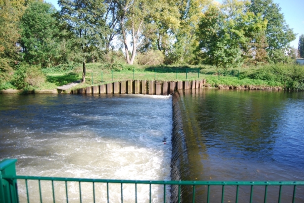 Wehr in der Rur bei Düren. Deutlich sichtbar ist die Wasserwalze unterhalb des Wehres, die zu einer tödlichen Falle werden kann.