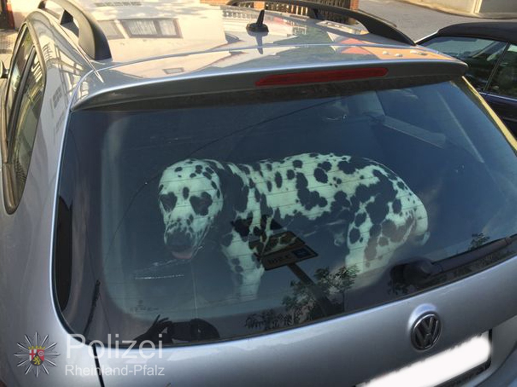 Bild: Polizei