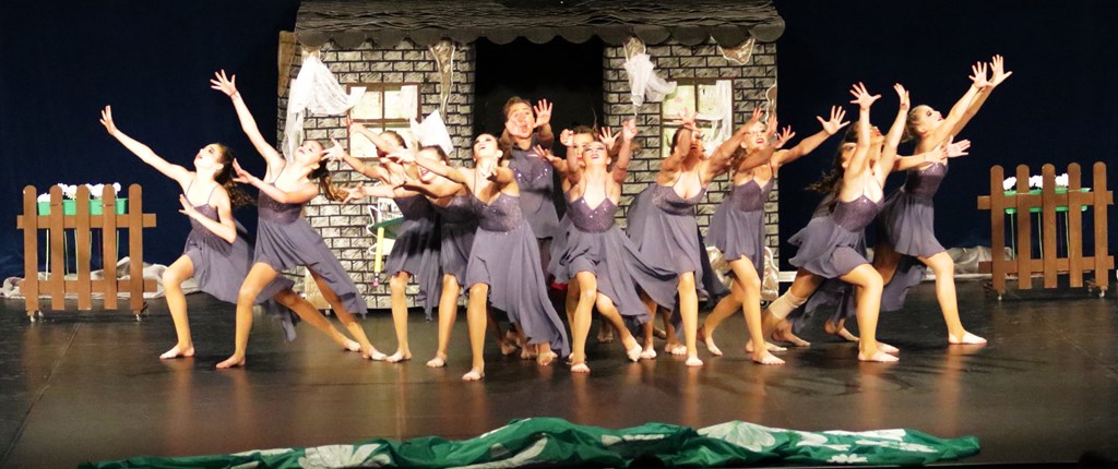 The Soul of Dance Company Dürener Turnverein 1847 e.V.