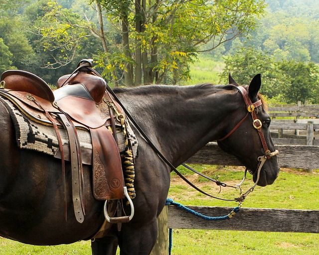 pixabay.com / James DeMers