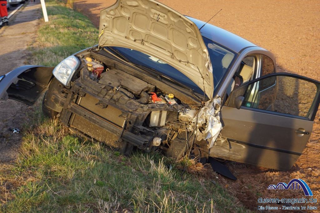 scale 1700 1000 b9gonFashirlFaPpZ2Hk