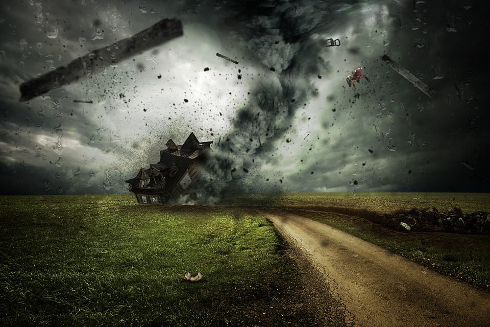 https://pixabay.com/de/users/Comfreak-51581/