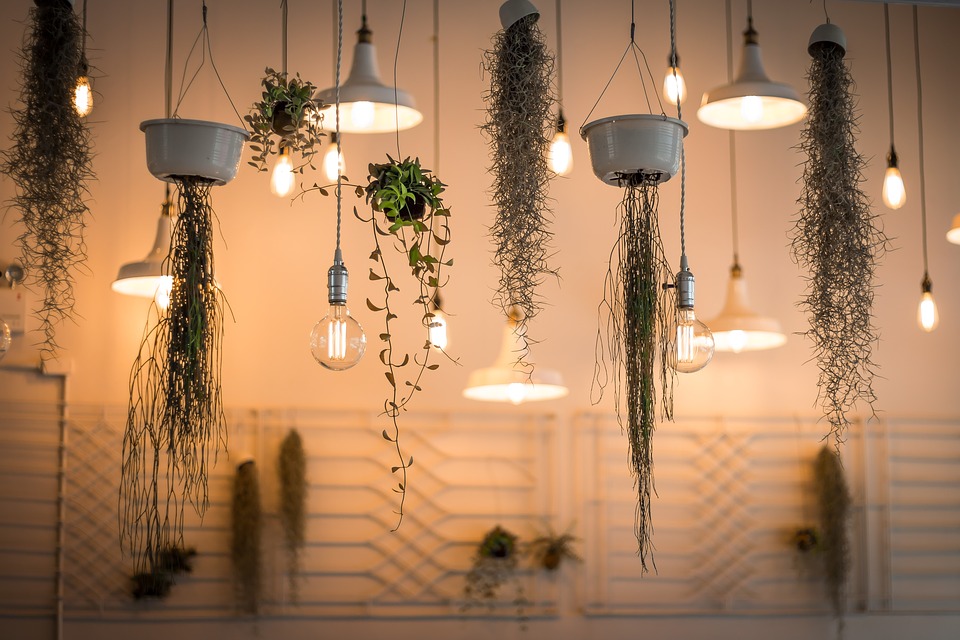 lights 1867437 960 720