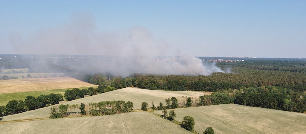 reportnet24/Waldbrand bei Bötzow