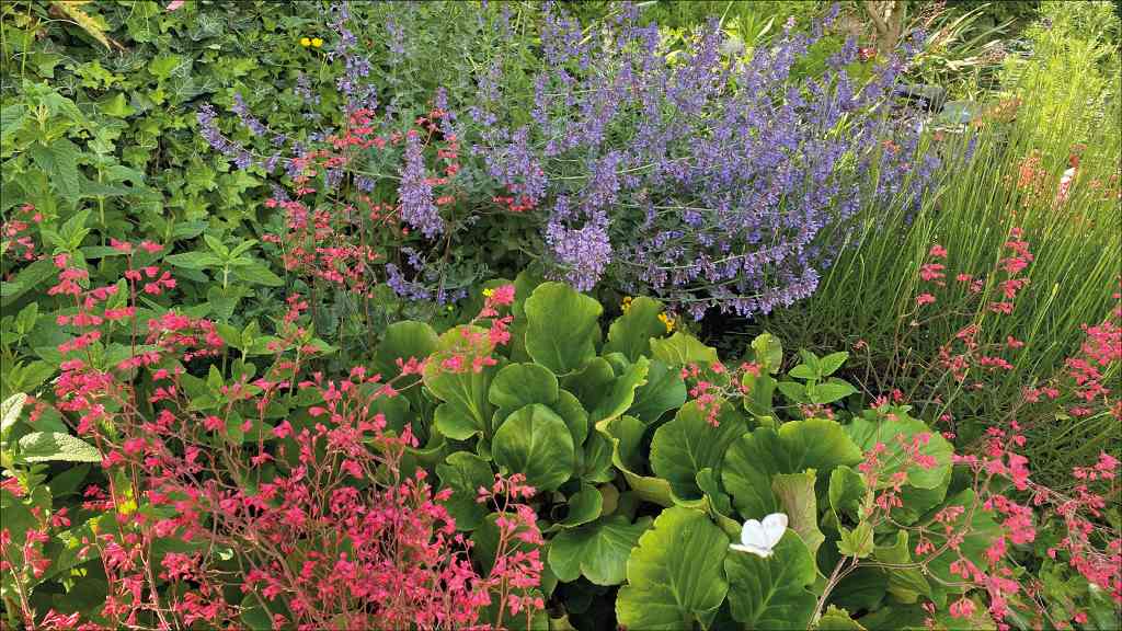 Ein naturnaher Garten ist ein Gewinn für die Natur und die Umwelt – am 1. Juni startet die Stadt Düren den (Vor-)Gartenwettbewerb „Mit Herz und Harke“.