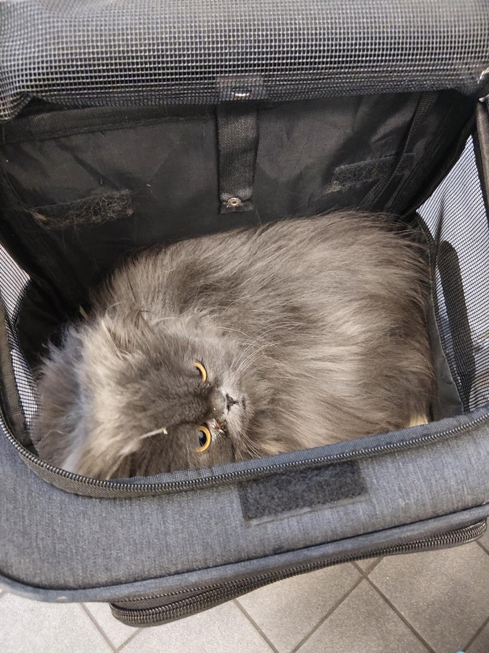 Bundespolizeiinspektion Aachen