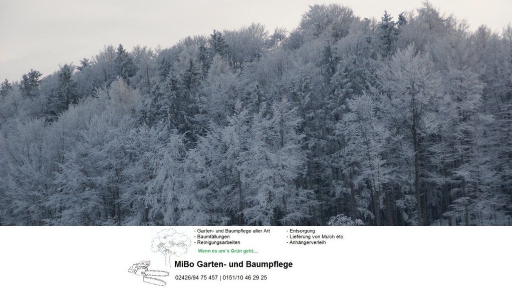 dueren-magazin.de AMI