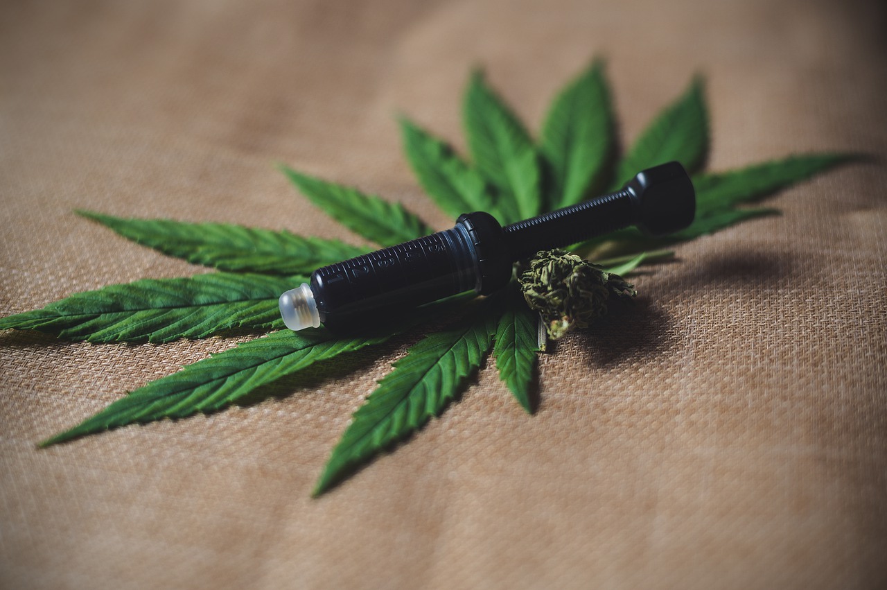 Bild: Julia Teichmann - CBD-Infos.com